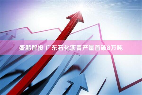 盛鹏智投 广东石化沥青产量首破8万吨