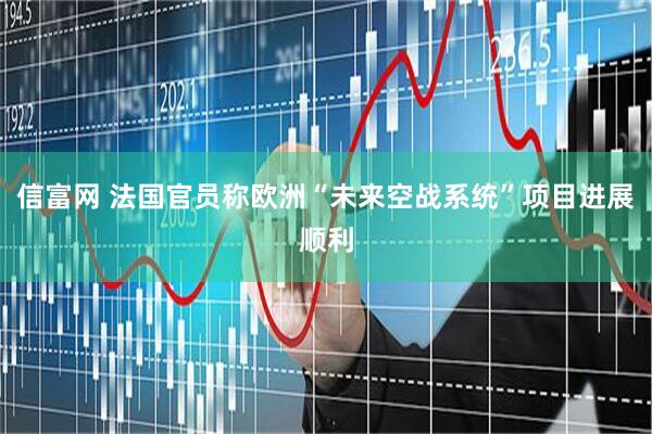 信富网 法国官员称欧洲“未来空战系统”项目进展顺利
