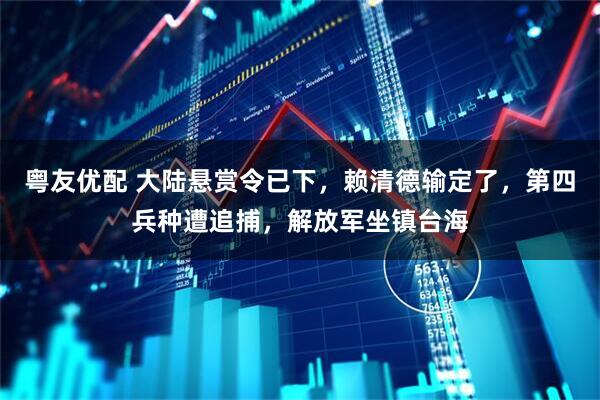 粤友优配 大陆悬赏令已下，赖清德输定了，第四兵种遭追捕，解放军坐镇台海