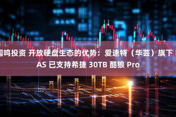 国鸣投资 开放硬盘生态的优势：爱速特（华芸）旗下 NAS 已支持希捷 30TB 酷狼 Pro