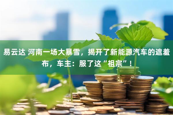 易云达 河南一场大暴雪，揭开了新能源汽车的遮羞布，车主：服了这“祖宗”！