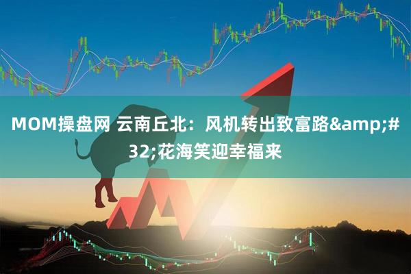 MOM操盘网 云南丘北：风机转出致富路 花海笑迎幸福来